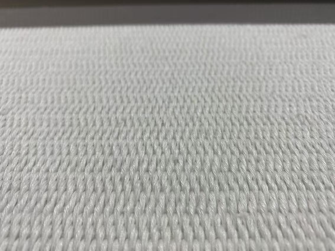 聚酯复合纤维凝固输送带